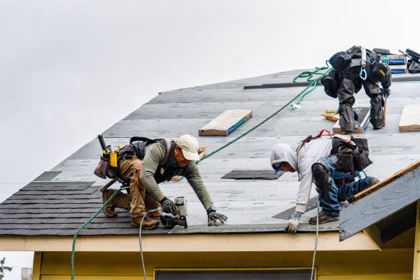 Professional Roofing technician working in Claremont, VA
